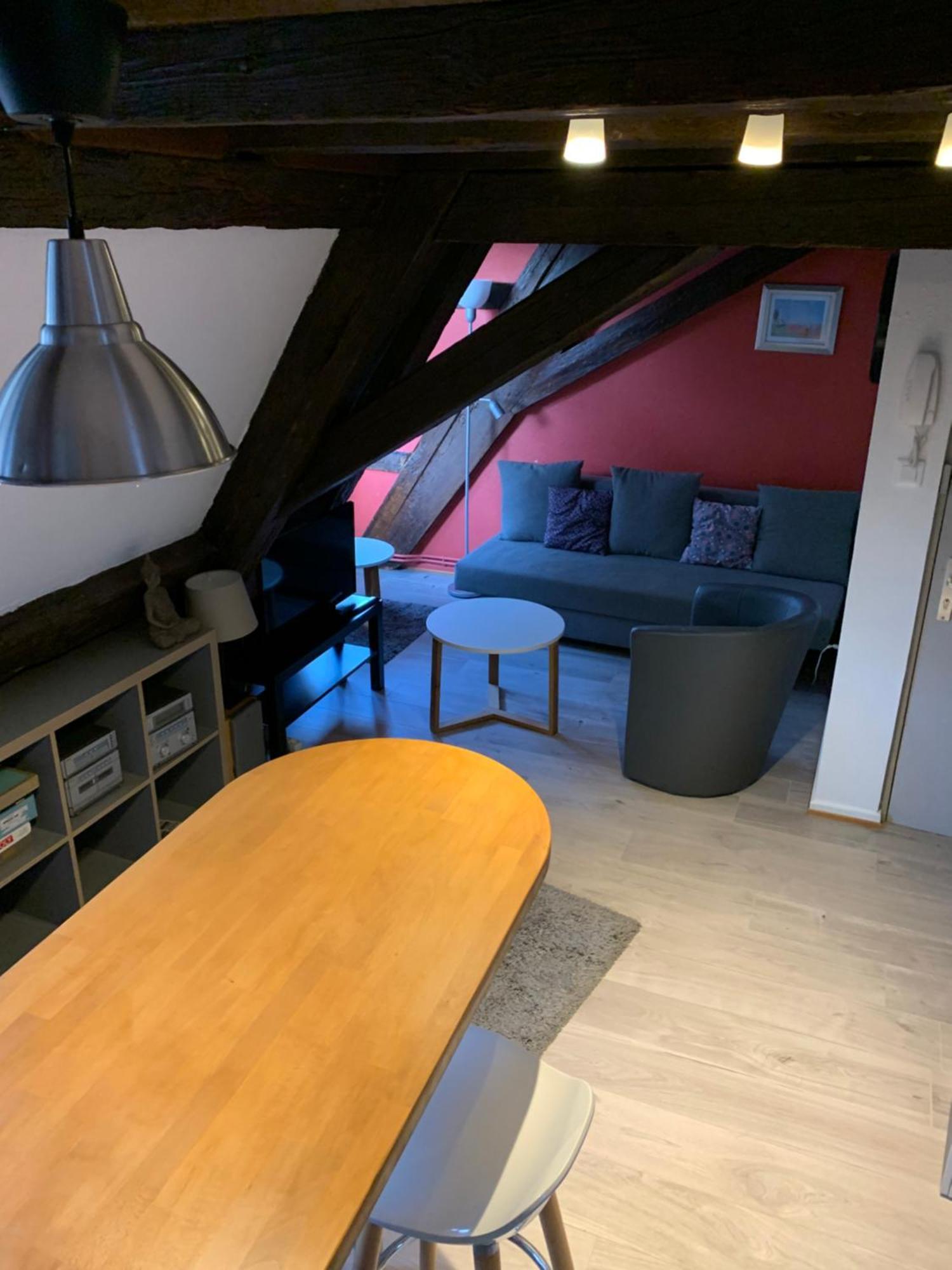 Appartement Duplex 2A Rue D'Alspach كولمار المظهر الخارجي الصورة